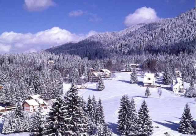 Poiana Brasov, Aparthotel 609,Alpin Eksteriør bilde